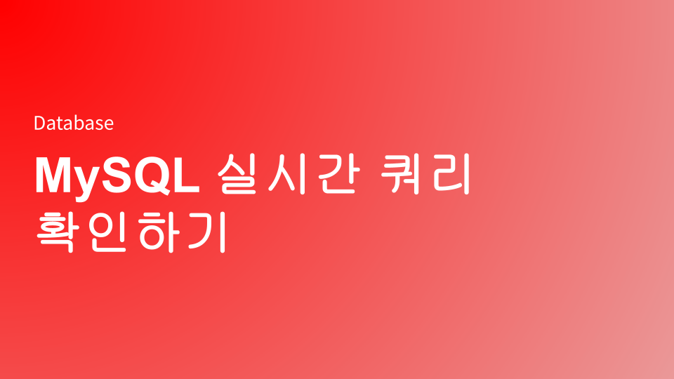 MySQL 실시간 쿼리 확인하기